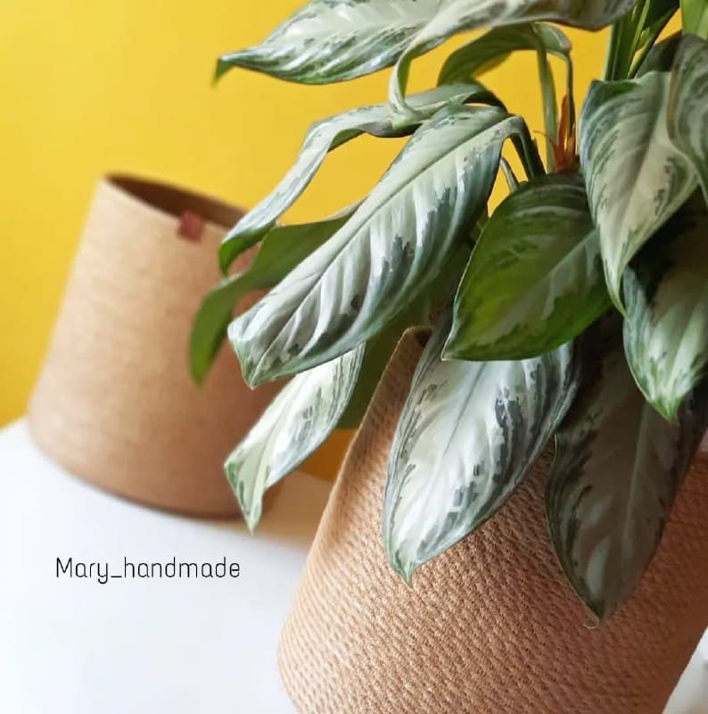 کاور گلدان کنفی دست ساز