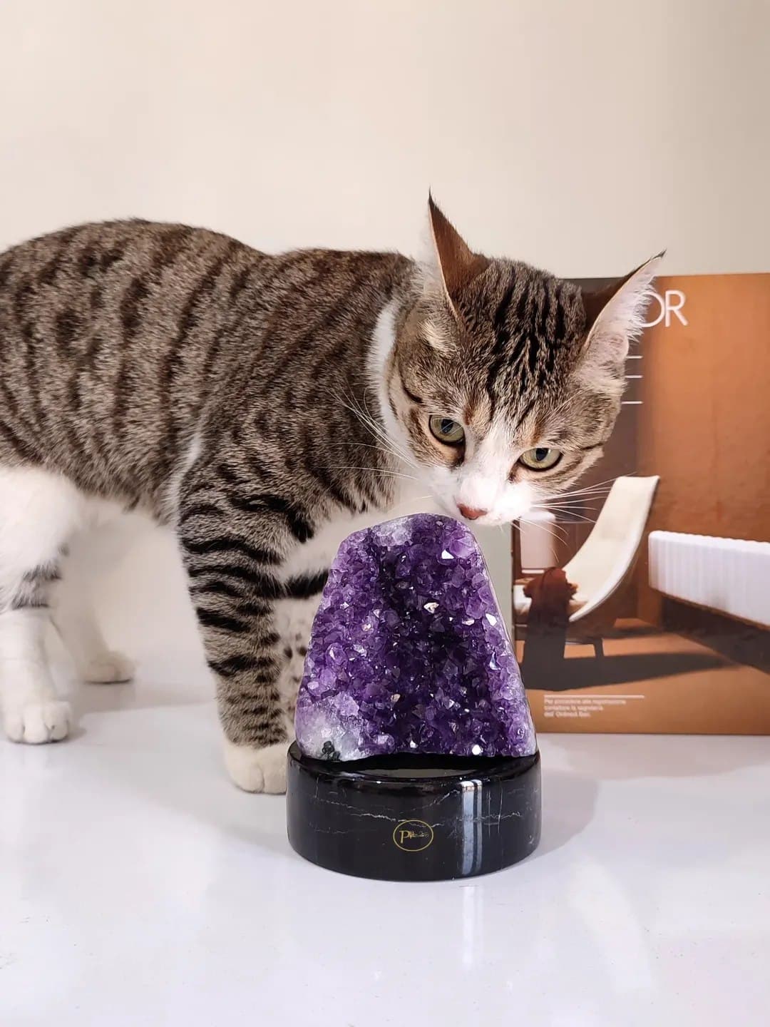 راف سنگ آمیتیست طبیعی دکوری با پایه مرمر مشکی