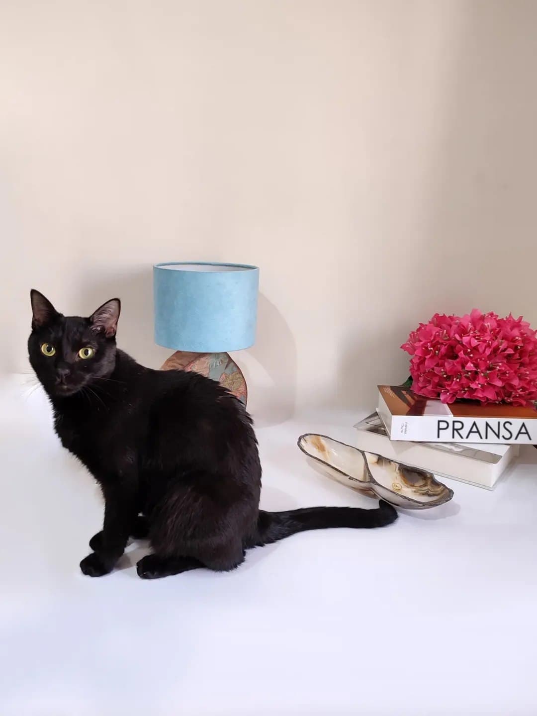 اردوخوری و آجیل خوری سنگ مرمر طبیعی