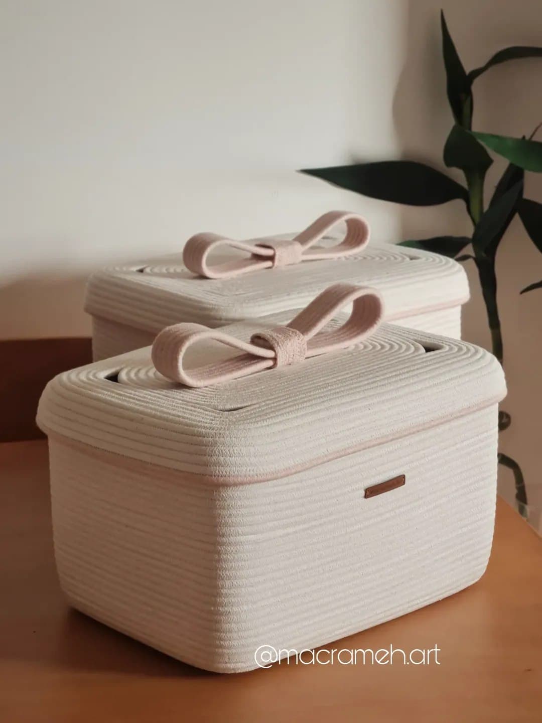 باکس نظم دهنده قیطانی درب دار مستطیلی مدل پاپیون