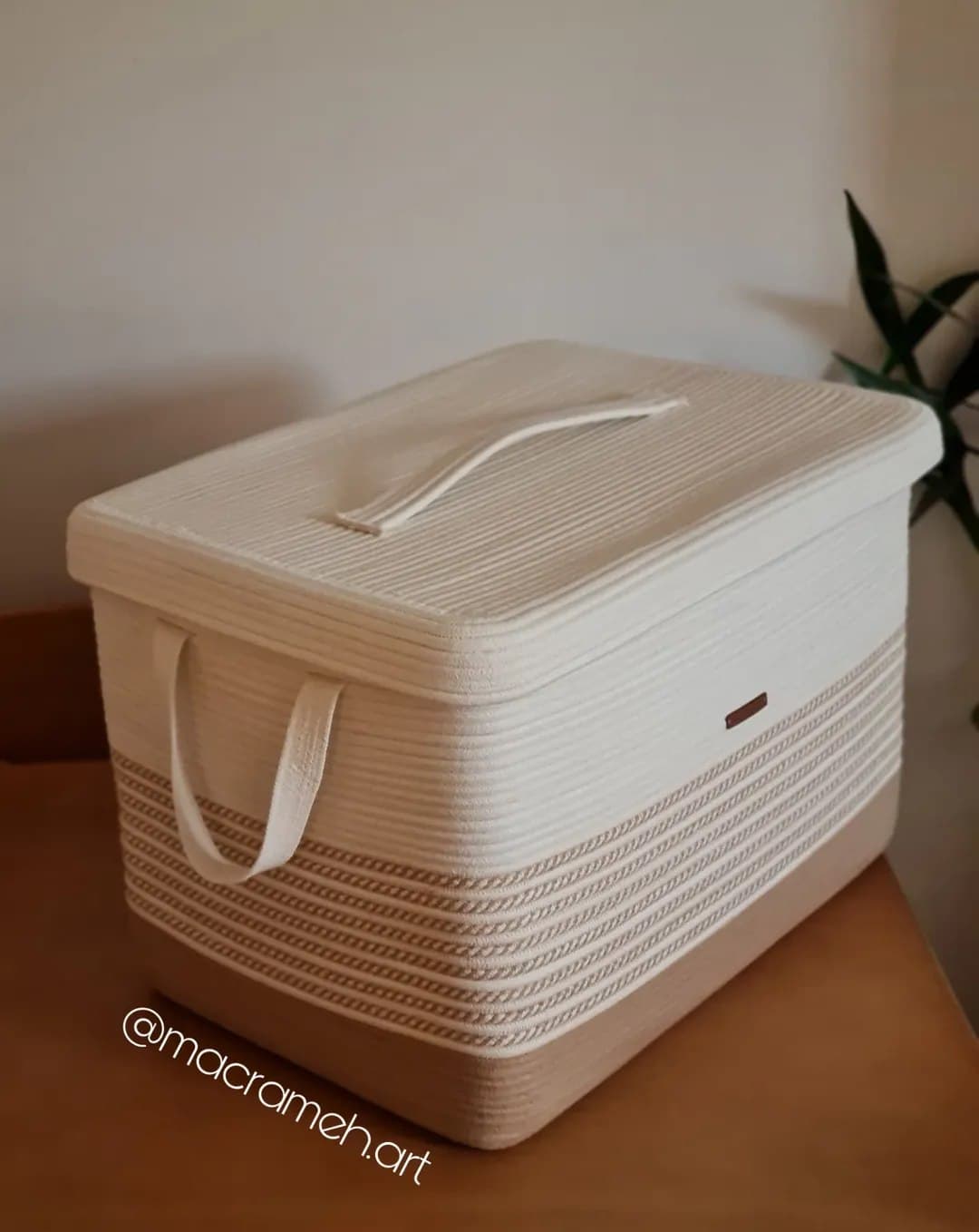 باکس نظم دهنده قیطانی درب دار دو رنگ