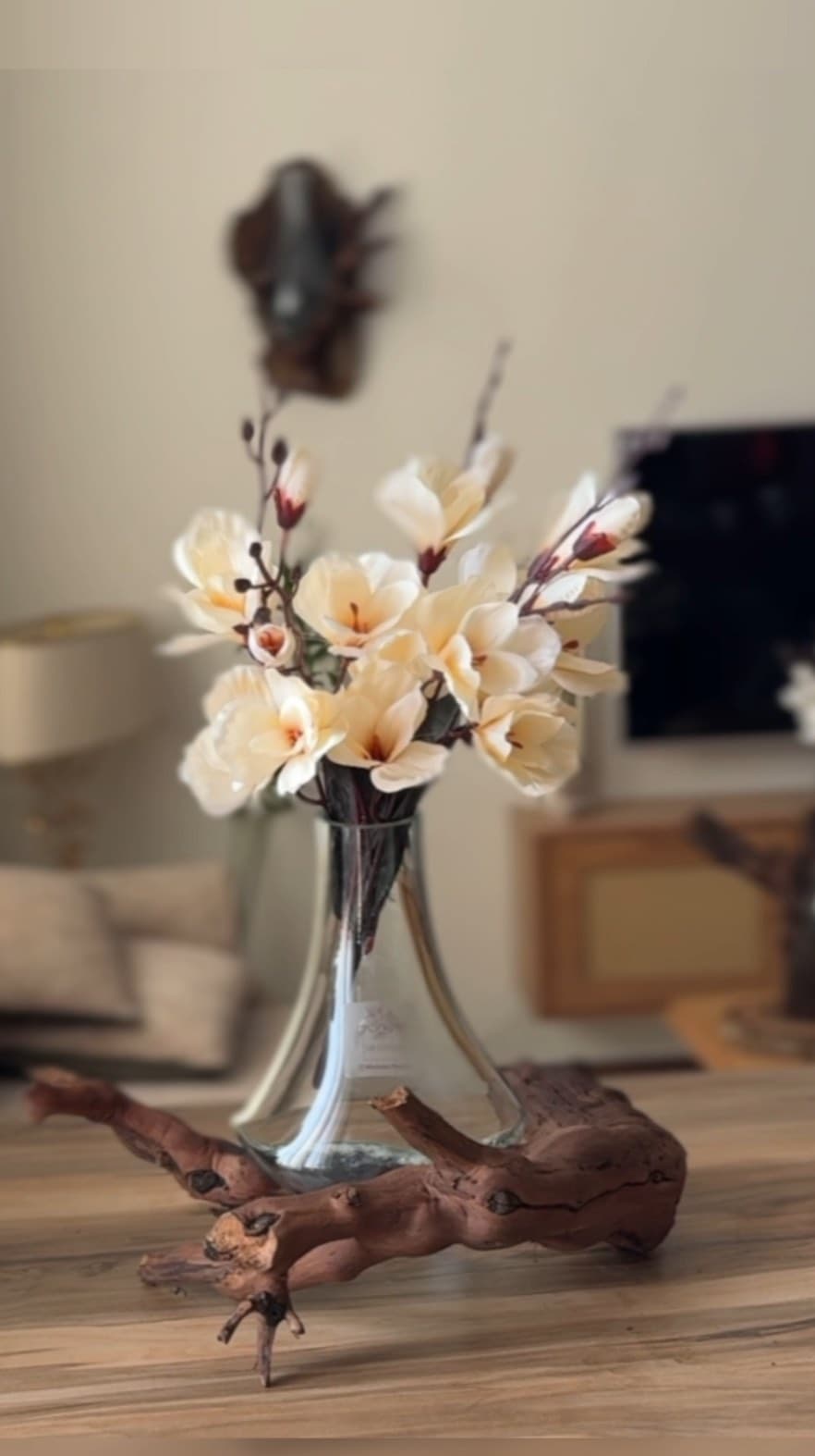 گلدان شیشه ای دست ساز با پایه چوب طبیعی ریشه