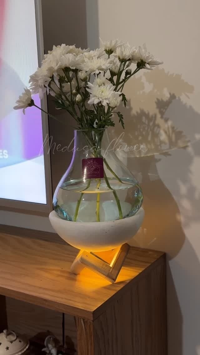 گلدان رومیزی چراغ خواب دار با پایه سنگ نمک و چوب