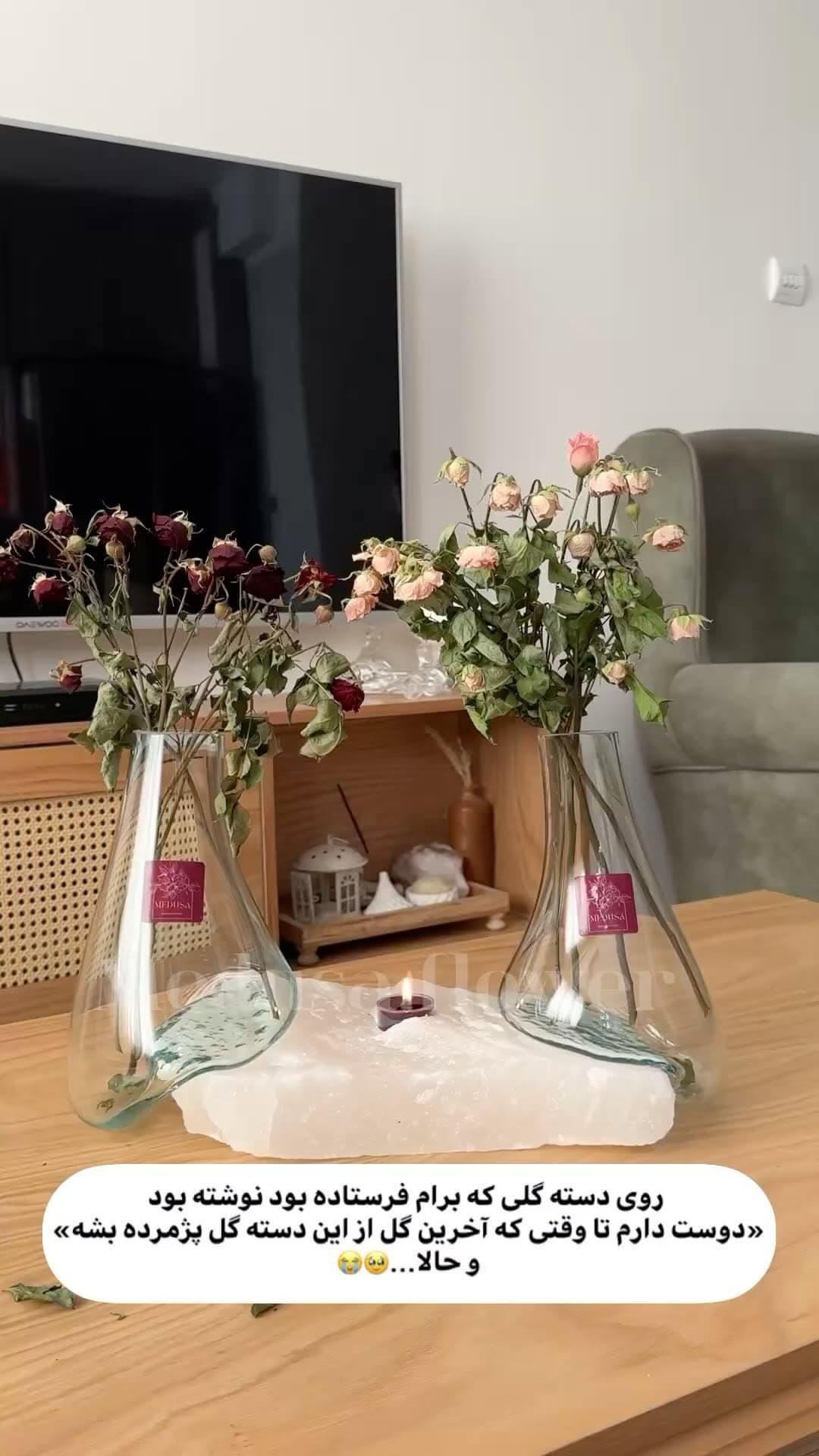 گلدان دوتایی شیشه‌ای مدوزا با پایه سنگ نمک