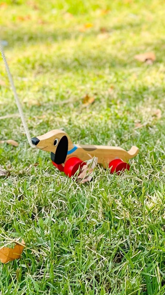 اسباب بازی چوبی کشیدنی طرح سگ سوسیسی