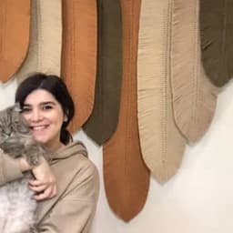 استودیو دار