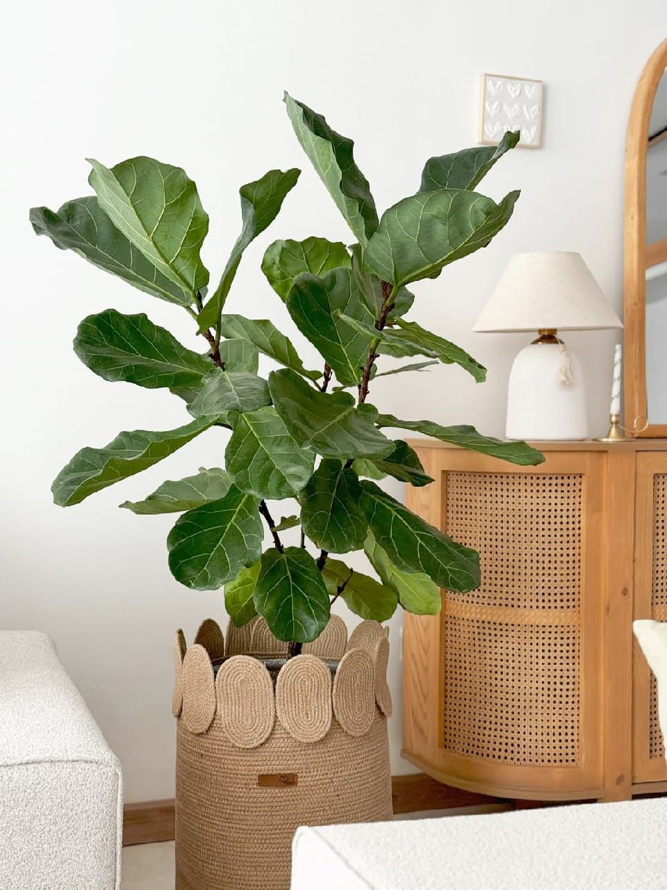 کاور گلدان کنفی دستساز مدل حلقهای